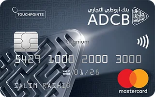 TouchPoints Titanium/Gold Credit Card